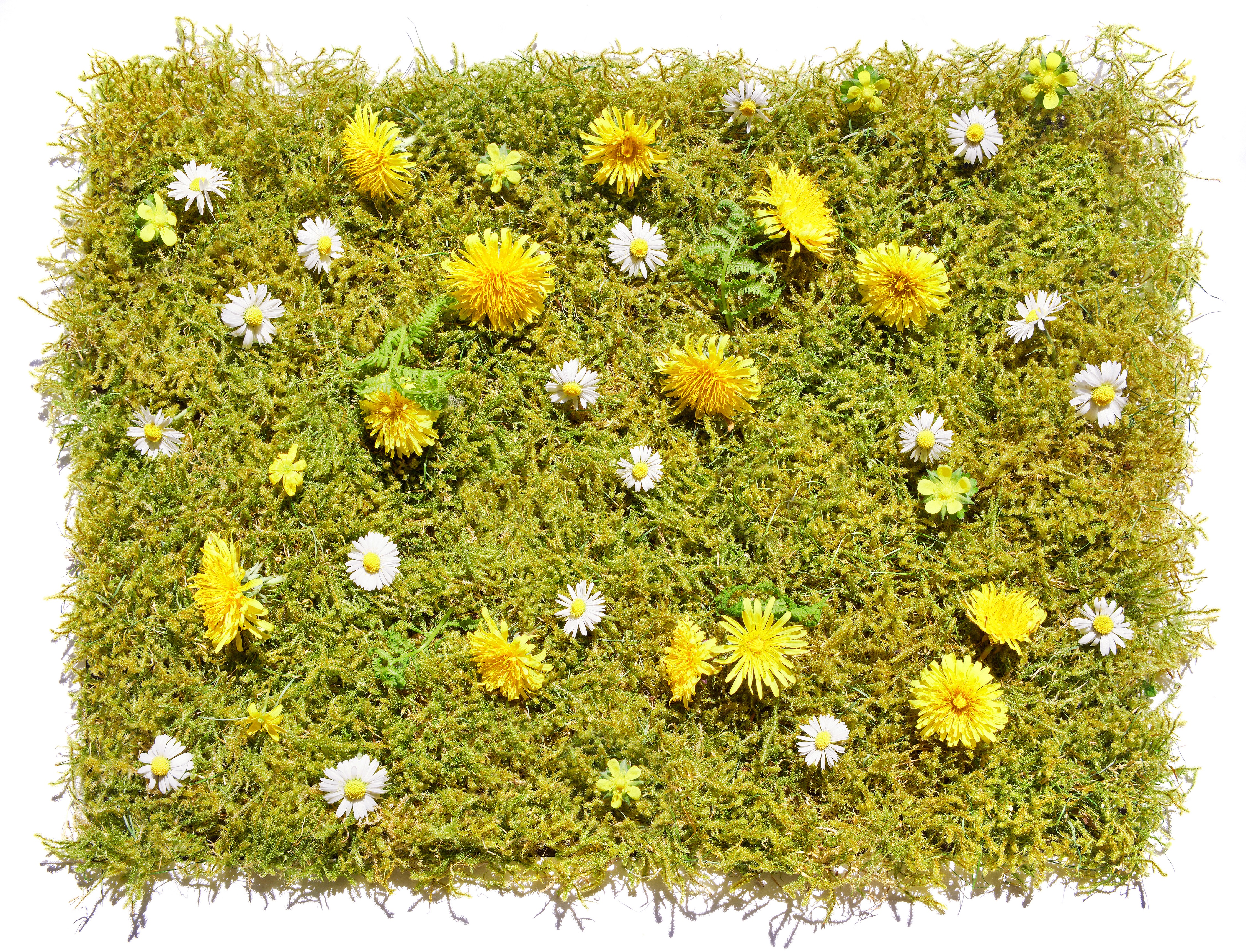Moss Mat